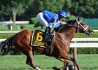 Questing<br><a target="blank" href="http://photos.bloodhorse.com/AtTheRaces-1/at-the-races-2012/22274956_jFd5jM#!i=2033179633&k=WtB64Gr">Order This Photo</a>