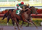 Smooth Air flies to victory in the Hutcheson.<br><a target="blank" href="http://www.bloodhorse.com/horse-racing/photo-store?ref=http%3A%2F%2Fpictopia.com%2Fperl%2Fgal%3Fprovider_id%3D368%26ptp_photo_id%3D3215411%26ref%3Dstory">Order This Photo</a>