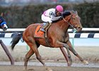 Vyjack makes his final start of the year in the Queens County Stakes.<br><a target="blank" href="http://photos.bloodhorse.com/AtTheRaces-1/at-the-races-2013/27257665_QgCqdh#!i=2389523034&k=wnfSvhF">Order This Photo</a>