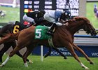 Toronto Cup winner Stormy Lord faces 12 in the Breeders' Stakes.