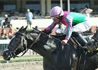 Wolfson Enters Four in Princess Rooney Wolfson Enters Four in Princess Rooney