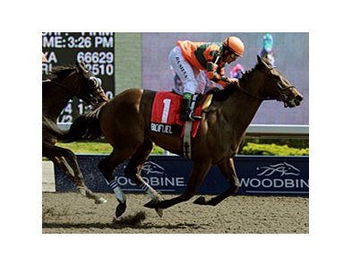 Biofuel registered her fourth win in five starts in the La Lorgnette Stakes at Woodbine.