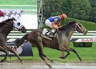 Notacatbutallama takes to the slop and wins the National Museum Racing Hall of Fame Stakes.<br><a target="blank" href="http://photos.bloodhorse.com/AtTheRaces-1/at-the-races-2013/27257665_QgCqdh#!i=2690121785&k=ZR92pXS">Order This Photo</a>