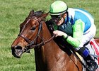 Ageless to Skip BC Turf Sprint Ageless to Skip BC Turf Sprint