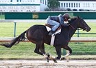 Rocket Twentyone Preps for Juvenile Fillies Rocket Twentyone Preps for Juvenile Fillies