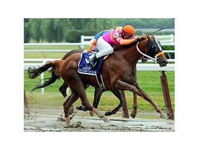Ruler On Ice wins the 2011 Belmont Stakes.
<br><a target="blank" href="http://www.bloodhorse.com/horse-racing/photo-store?ref=http%3A%2F%2Fpictopia.com%2Fperl%2Fgal%3Fprovider_id%3D368%26ptp_photo_id%3D9561961%26ref%3Dstory">Order This Photo</a>