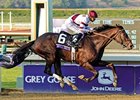 Royal Delta was a repeat winner in the Breeders' Cup Ladies' Classic.<br><a target="blank" href="http://photos.bloodhorse.com/BreedersCup/2012-Breeders-Cup/Ladies-Classic/26130180_8NMncD#!i=2191660144&k=PLgv2wz">Order This Photo</a>