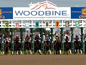 Where can you find current Woodbine racing entries?