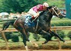 Rockamundo won the 1993 Arkansas Derby at 108-1 odds.