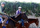 Freddy Wilson with Zenyatta.