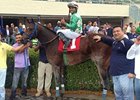 Falling Sky Tops OBS Winter Sale Opener Falling Sky Tops OBS Winter Sale Opener