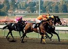 Variety Road (8) won the 1987 San Fernando Stakes.