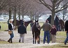 Keeneland January Sale