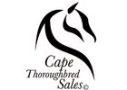 Cape Town Yearling Sale Starts Jan. 24 Cape Town Yearling Sale Starts Jan. 24