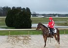 Oaklawn Park on December 12