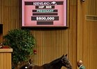 Supreme brought $800,000 to lead the Fares Farm dispersal.