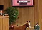 Distorted Humor Colt Tops First-Day Yearlings Distorted Humor Colt Tops First-Day Yearlings