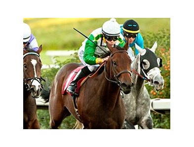 Scarlet Strike has finished in the money in her last 4 races, all stakes.