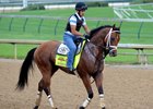 Harry's Holiday on the track at Churchill Downs ahead of the 2014 Kentucky Derby