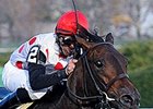 Souper Speedy Retired to Ontario's Mapleville Souper Speedy Retired to Ontario's Mapleville