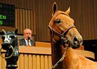 Keeneland Catalogs 3,908 for September Sale Keeneland Catalogs 3,908 for September Sale