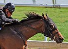 Two Share Fastest Furlong Time at F-T Show Two Share Fastest Furlong Time at F-T Show