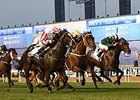 Sole Power Drives to Al Quoz Sprint Win Sole Power Drives to Al Quoz Sprint Win