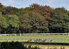 KY-Bred Colts Set for Rematch at Goodwood KY-Bred Colts Set for Rematch at Goodwood