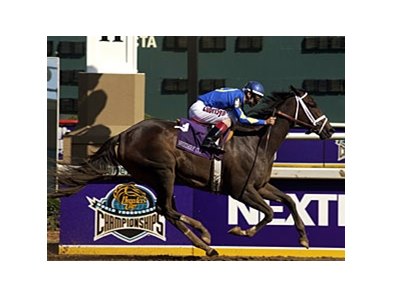Two-time champion Ashado<br><a target="blank" href="http://photos.bloodhorse.com/Classics/Classic-Photos/22651042_hrMBZZ#!i=2385082052&k=T8DhT8f">Order This Photo</a>