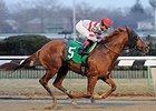 Nerud 3-Year-Old Wins Again at Big A Nerud 3-Year-Old Wins Again at Big A