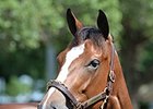 Hip 1032, a Harlan's Holiday filly, was one of 2 to go an eighth of a mile in :09 4/5.