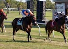 Racing on Santa Rosa's turf course