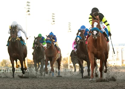 Pacific Ocean and jockey Joel Rosario (right) breaks through in the 2011 Grade III $100,000 Vernon O. Underwood Stakes at Hollwood Park.