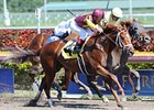 Discreet Dancer Returns a Winner Discreet Dancer Returns a Winner