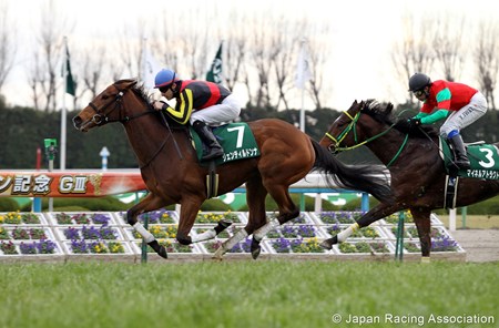 Gentildonna (by Deep Impact, out of Donna Blini by Bertolini) wins the Nikkan Sports Sho Shinzan Kinen Jan. 8, 2012.