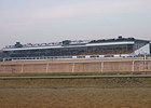 Laurel to Reopen as Turf Racing Season Nears Laurel to Reopen as Turf Racing Season Nears