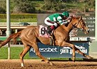 Stellar Wind Sails to Santa Ysabel Victory Stellar Wind Sails to Santa Ysabel Victory
