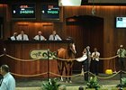 OBS Juvenile Sale Continues to Show Strength OBS Juvenile Sale Continues to Show Strength