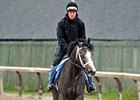 Incognito<br><a target="blank" href="http://photos.bloodhorse.com/TripleCrown/2013-Triple-Crown/Belmont-Stakes-145/29744699_jpqpwR#!i=2560772165&k=C3sLq9W">Order This Photo</a>