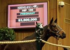 Naples Bay topped the Nov. 4 opening session at Keeneland's November breeding stock sale, selling for $3.6 million.