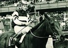 Foolish Pleasure in the 1975 Wood Memorial.