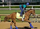 Derby: War Story, Mr. Z to Breeze Wednesday Derby: War Story, Mr. Z to Breeze Wednesday