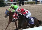 War Story (left) finished 2nd to International Star (right) in both the Lecomte and the Risen Star.<br><a target="blank" href="http://photos.bloodhorse.com/AtTheRaces-1/At-the-Races-2015/i-d764wtk">Order This Photo</a>