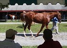 Fasig-Tipton Saratoga yearling sale