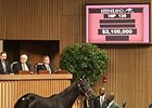 St. George Farm Buys Zenyatta's Half Sister St. George Farm Buys Zenyatta's Half Sister