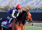 Aktabantay Chases Miami Mile Success Aktabantay Chases Miami Mile Success