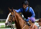 California Chrome<br><a target="blank" href="http://photos.bloodhorse.com/AtTheRaces-1/At-the-Races-2015/i-Q5Bsv9V">Order This Photo</a>