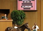 Tapit Colt First Over $1 Million on Day Four Tapit Colt First Over $1 Million on Day Four