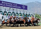 The Breeders' Cup at Santa Anita.