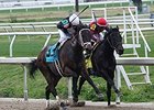 Street Babe (left) fights off Mystery Train to win the Mineshaft.<br><a target="blank" href="http://photos.bloodhorse.com/AtTheRaces-1/At-the-Races-2015/i-4J9vVmz">Order This Photo</a>